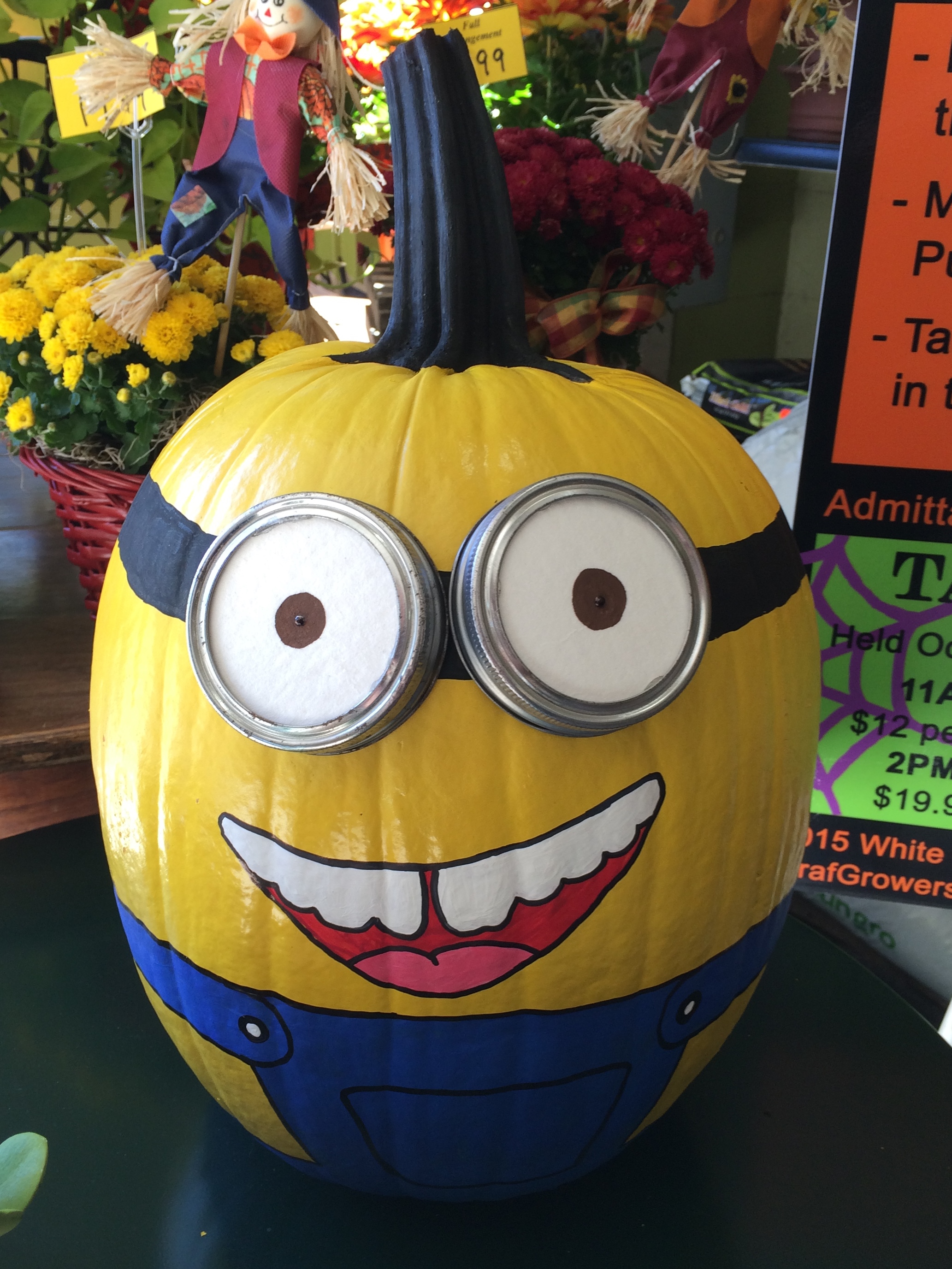 Pumpkin Decorating Ideas - Graf Growers