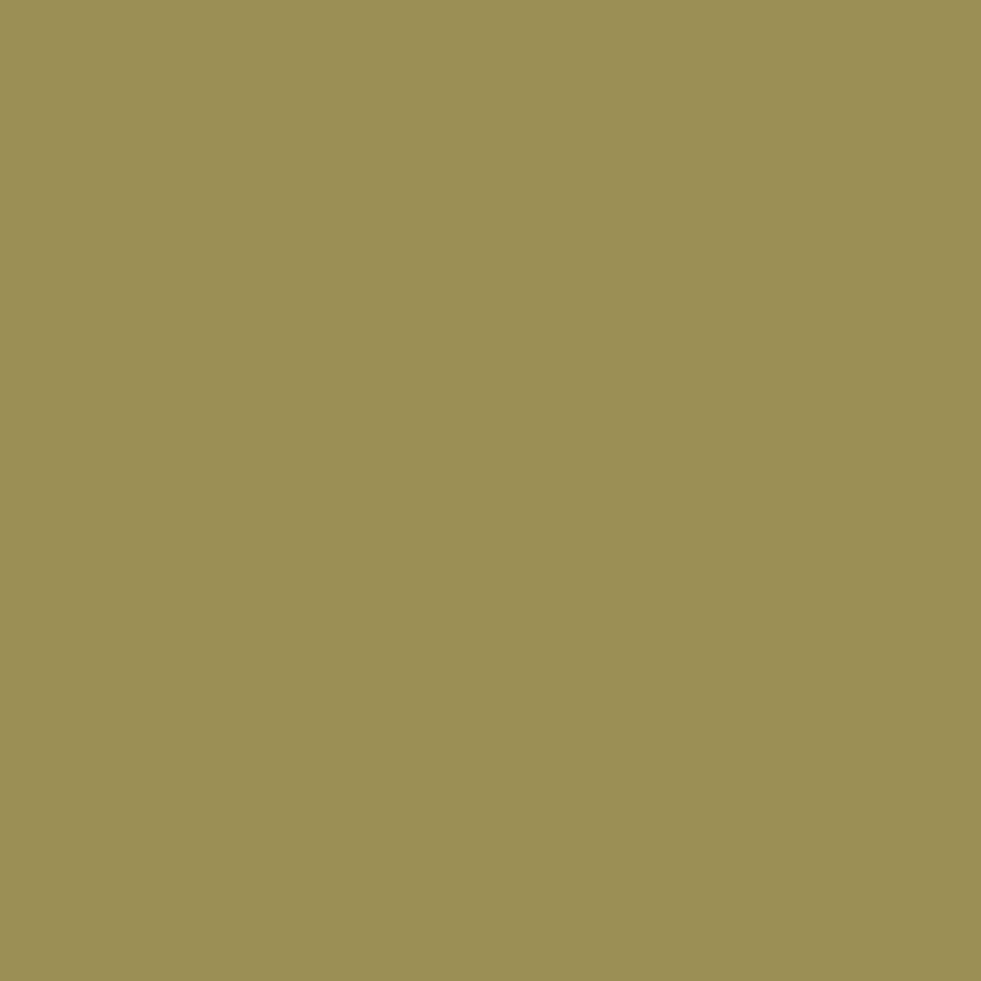 Dark Khaki Color