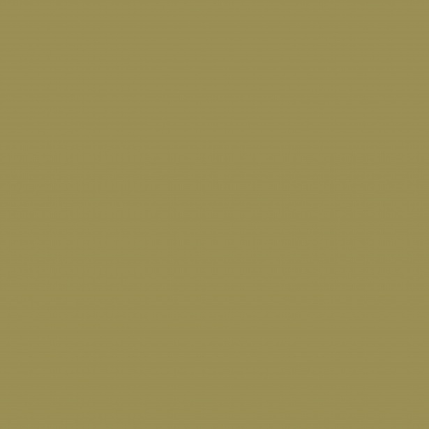 Dark Khaki Color