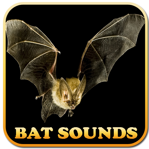 Bat Sounds: Amazon.co.uk: Appstore for Android