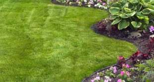 By The Yard Landscaping