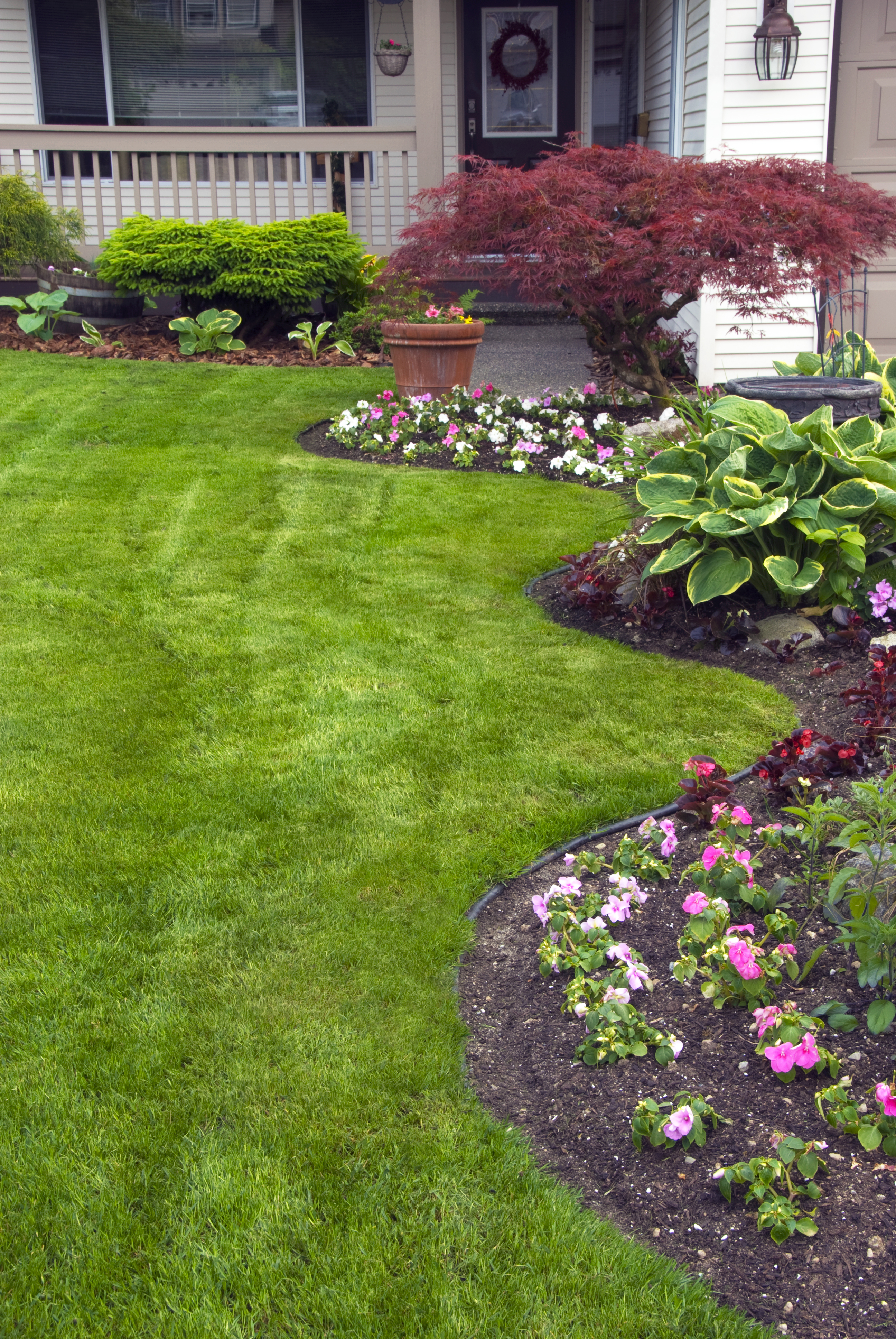 Simple and Clean Front Yard