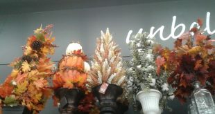 Big Lots Fall Decorations
