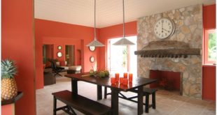 Coral Kitchen Walls